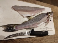 Zander - vom Fisch zum Filet / Koch- & Filetierkurs 2